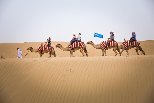 Tour image 12